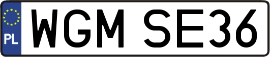 WGMSE36