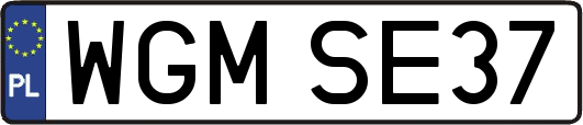 WGMSE37
