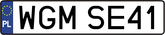 WGMSE41