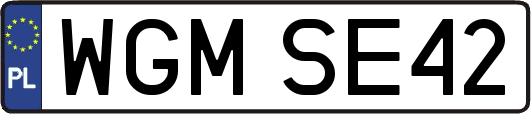 WGMSE42