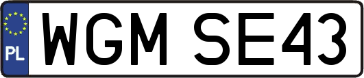 WGMSE43