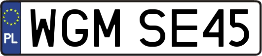 WGMSE45