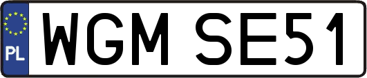 WGMSE51