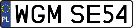 WGMSE54