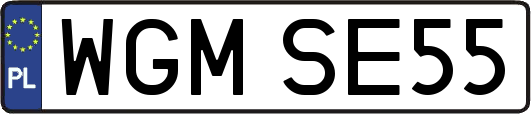 WGMSE55