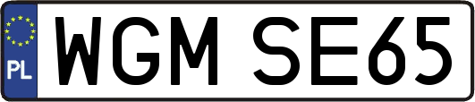 WGMSE65