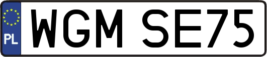 WGMSE75