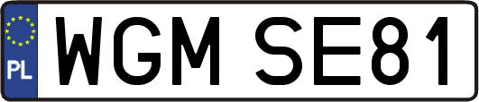 WGMSE81