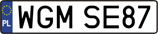 WGMSE87