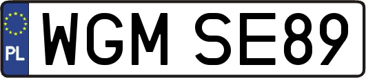 WGMSE89