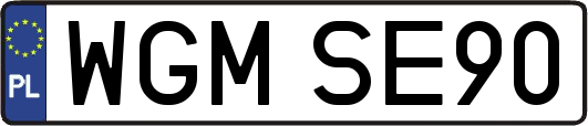 WGMSE90