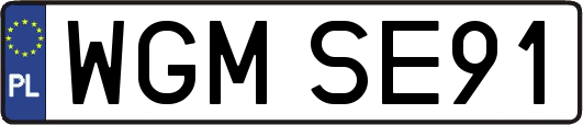 WGMSE91
