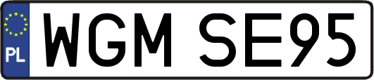 WGMSE95