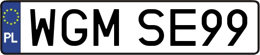 WGMSE99