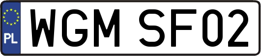 WGMSF02