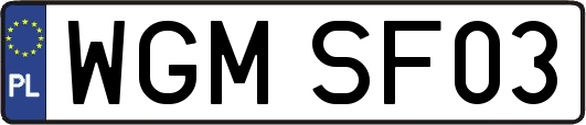 WGMSF03