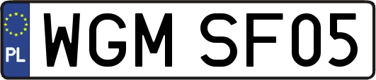 WGMSF05