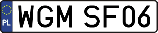 WGMSF06