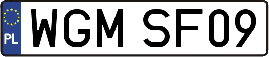 WGMSF09