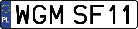 WGMSF11