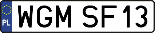WGMSF13