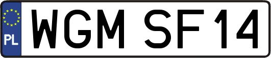 WGMSF14