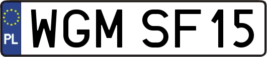 WGMSF15