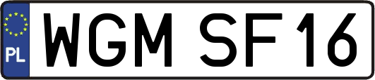 WGMSF16