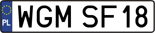WGMSF18