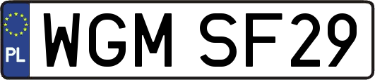 WGMSF29