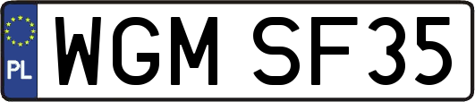 WGMSF35