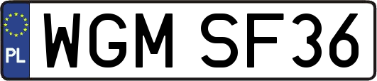 WGMSF36