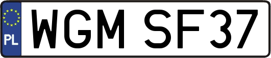 WGMSF37
