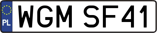 WGMSF41