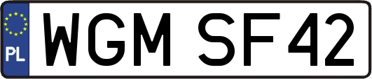 WGMSF42