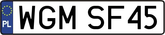 WGMSF45