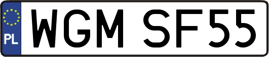 WGMSF55