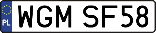 WGMSF58