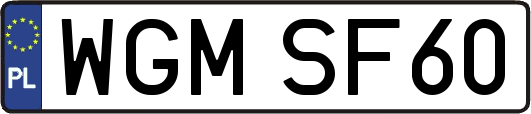 WGMSF60