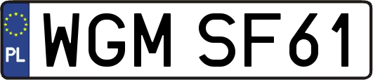 WGMSF61