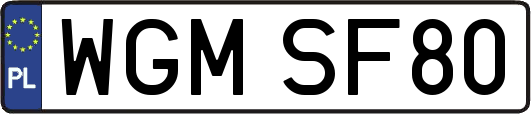 WGMSF80