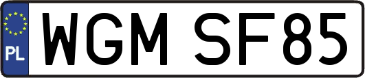 WGMSF85