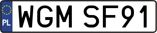 WGMSF91