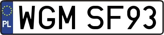 WGMSF93