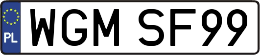 WGMSF99