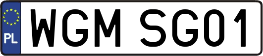 WGMSG01