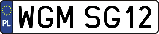 WGMSG12
