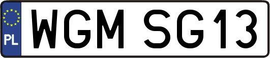 WGMSG13