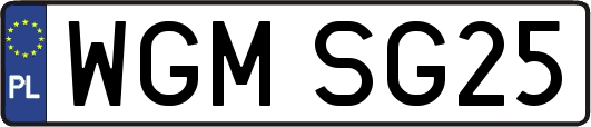 WGMSG25