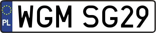 WGMSG29